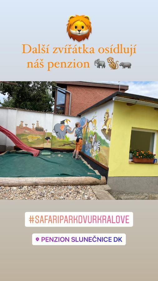 Penzion Slunecnice Dvůr Králové nad Labem Εξωτερικό φωτογραφία