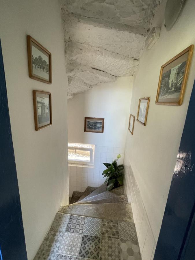 Penzion Slunecnice Dvůr Králové nad Labem Εξωτερικό φωτογραφία