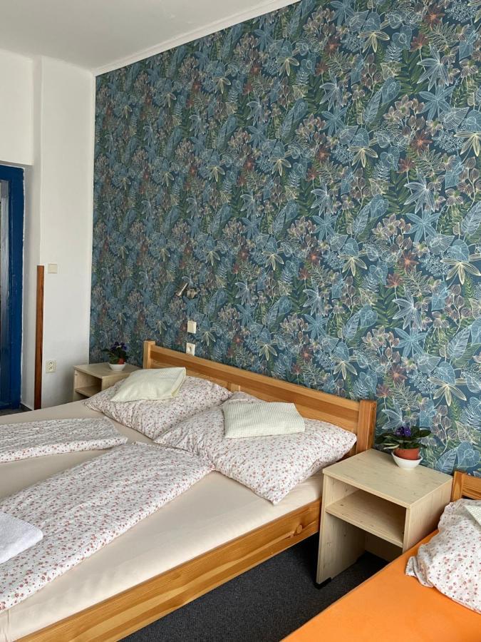 Penzion Slunecnice Dvůr Králové nad Labem Εξωτερικό φωτογραφία