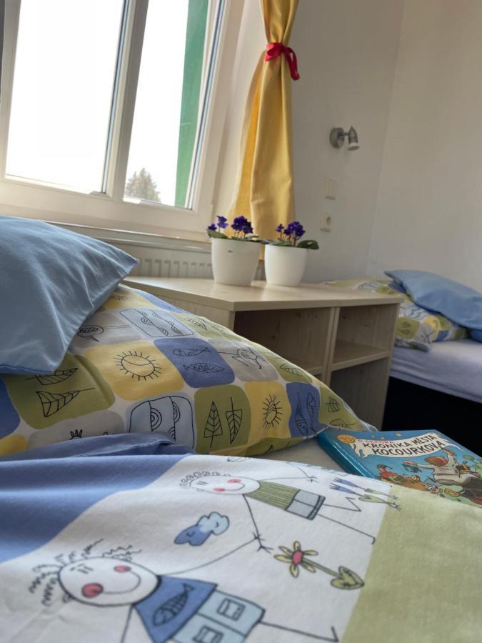 Penzion Slunecnice Dvůr Králové nad Labem Εξωτερικό φωτογραφία