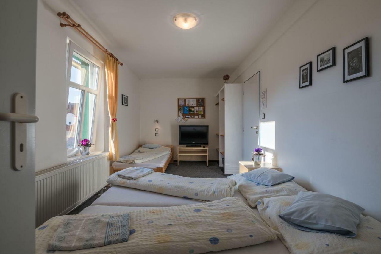 Penzion Slunecnice Dvůr Králové nad Labem Εξωτερικό φωτογραφία